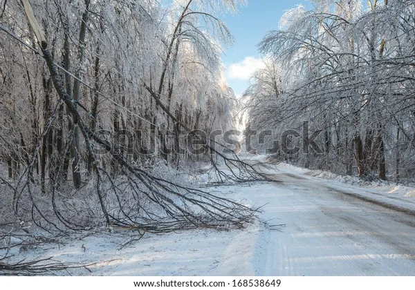 ice storm ontario — CA news