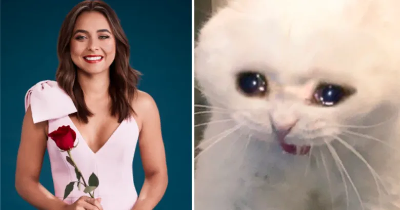 is the bachelorette actually cancelled — CA news