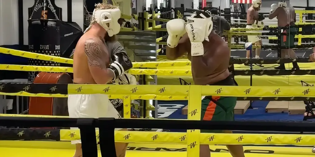 jake paul — CA news