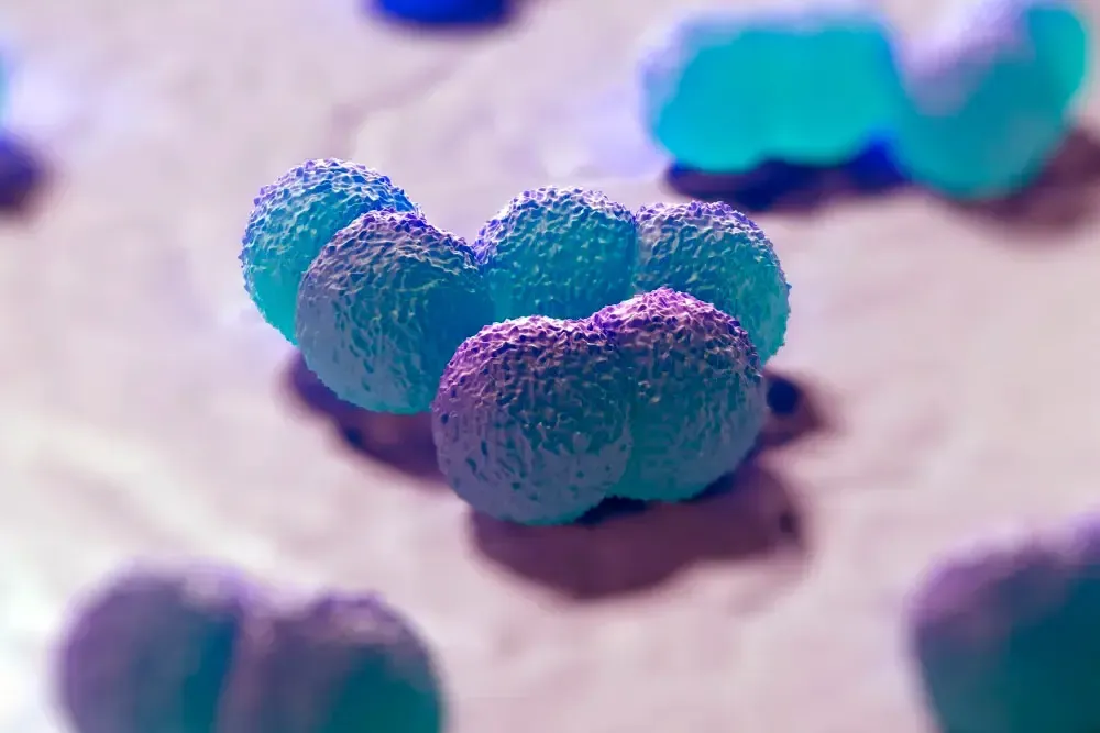 meningite angleterre — CA news