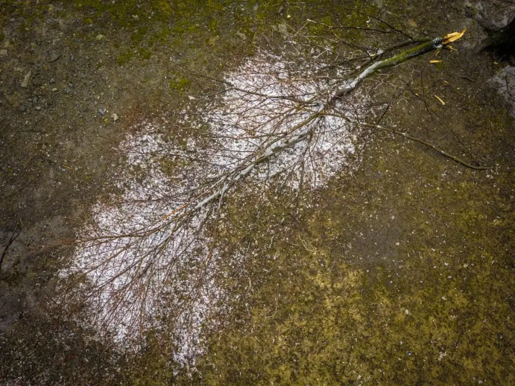 orange warning - freezing rain — CA news