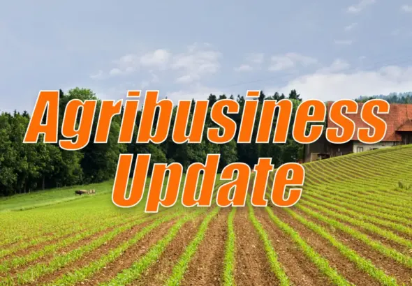 passport — CA news