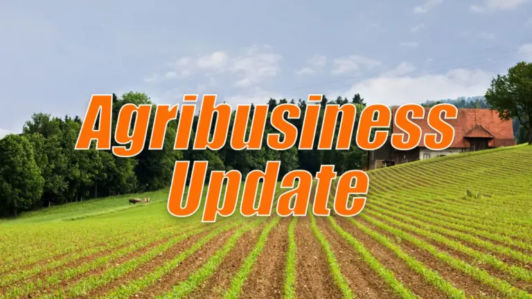 passport — CA news