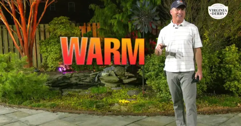 richmond weather — CA news