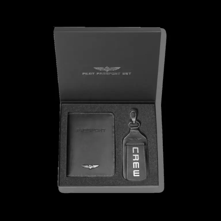 snowbird pilot passport — CA news