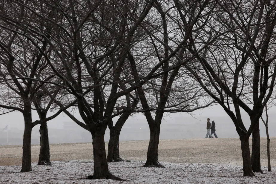 tempête — CA news