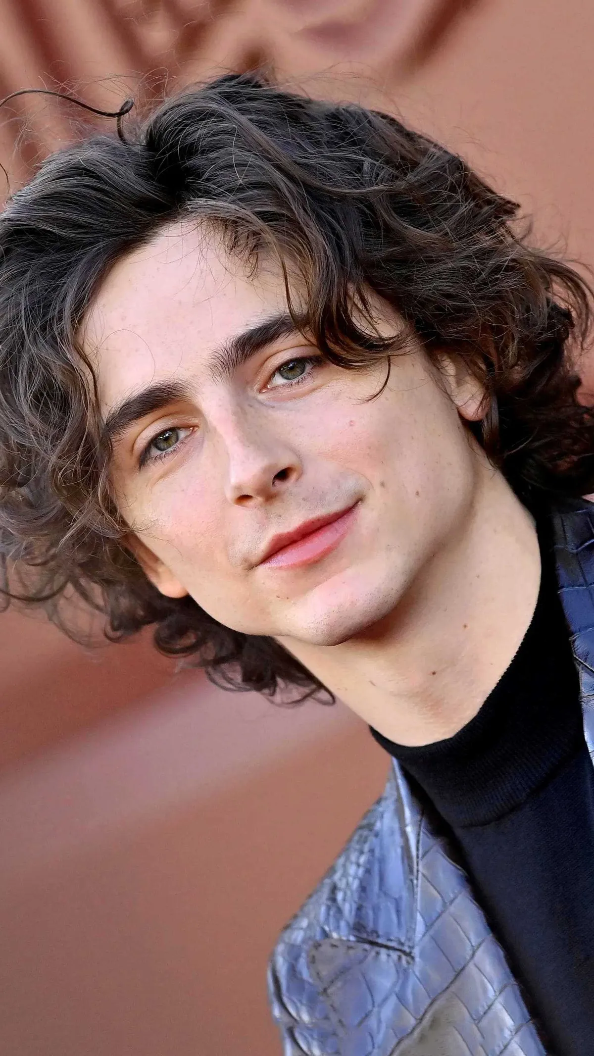 timothee chalamet — CA news