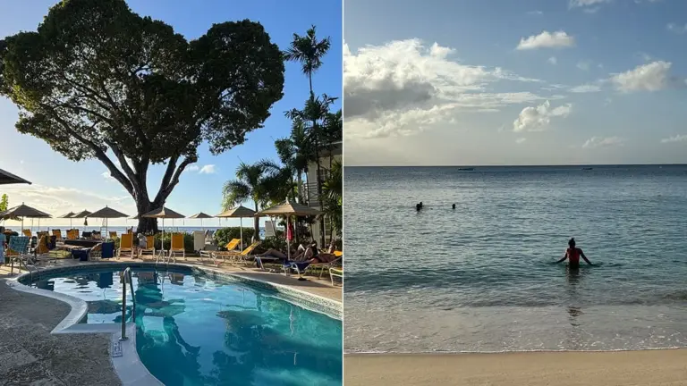 toyota rav4 hybride branchable — CA news