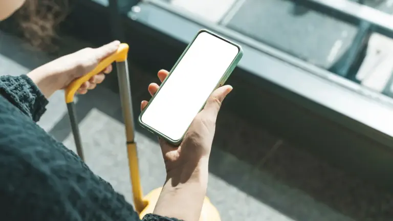 us cbp phone searches — CA news