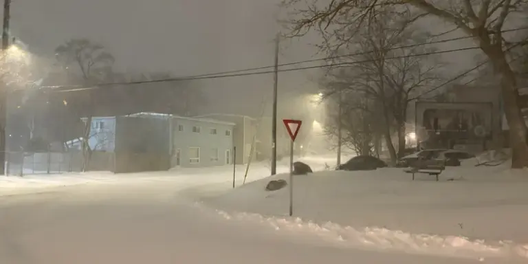 vocm news — CA news