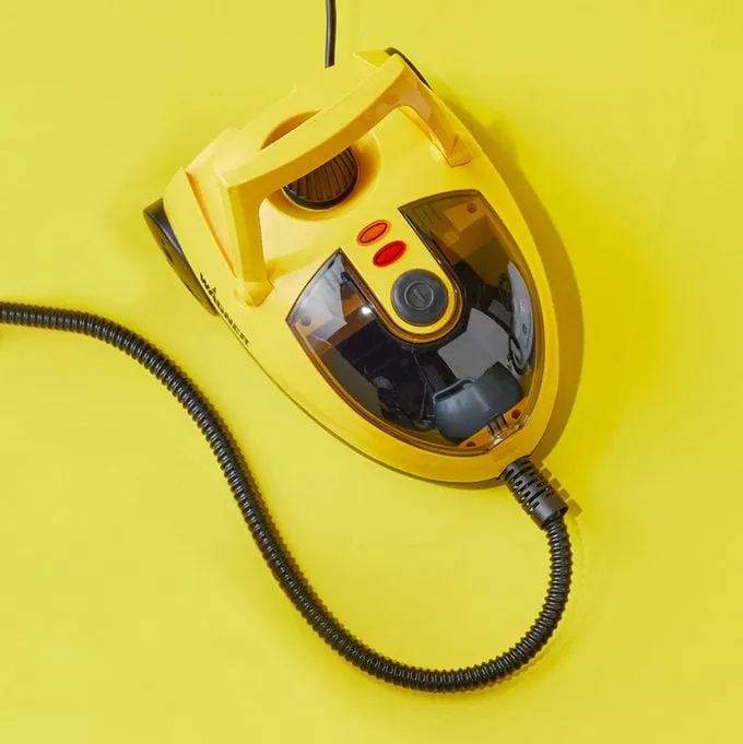 wagner steam cleaner recall — CA news