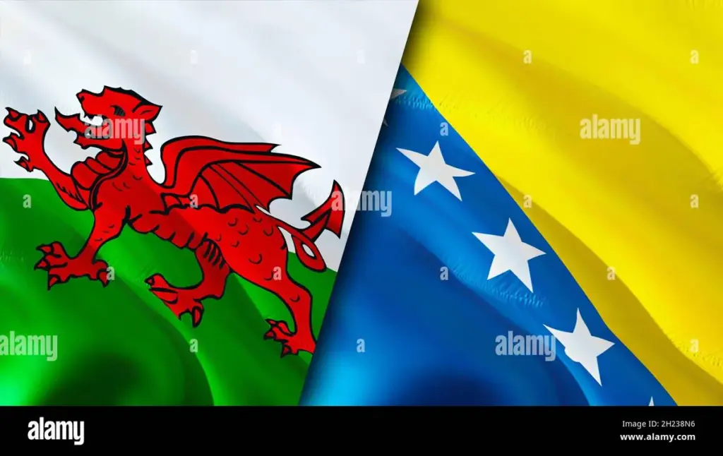 wales vs bosnia and herzegovina — CA news