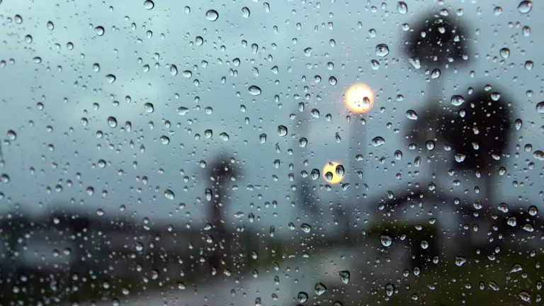 windsor weather — CA news