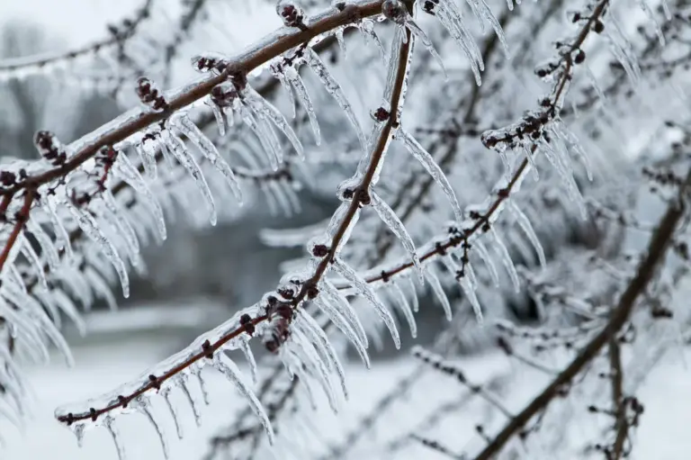 winter storm warning — CA news