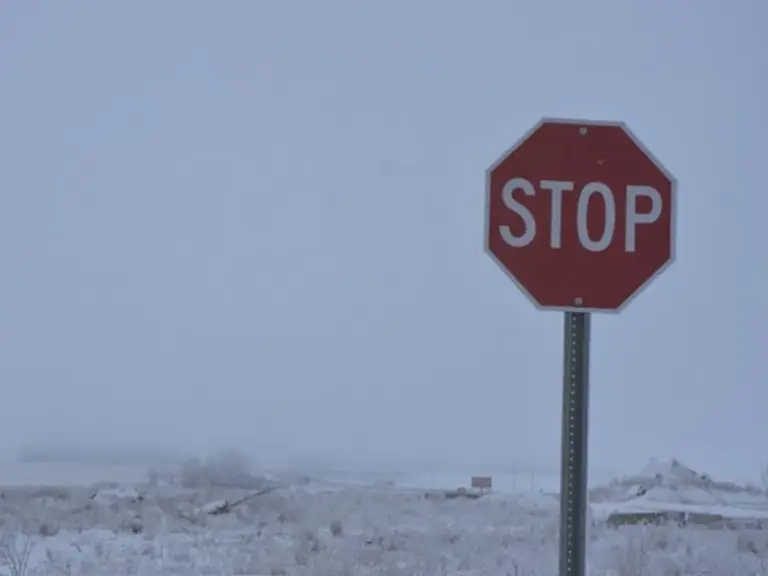 yellow advisory - fog — CA news