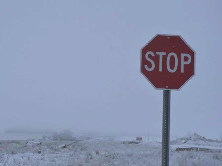 yellow advisory - fog — CA news