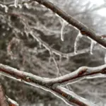 yellow warning - freezing rain — CA news