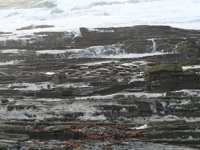 yellow warning - wind — CA news