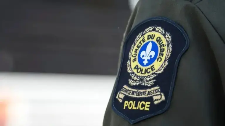 anais fortin cozzens — CA news