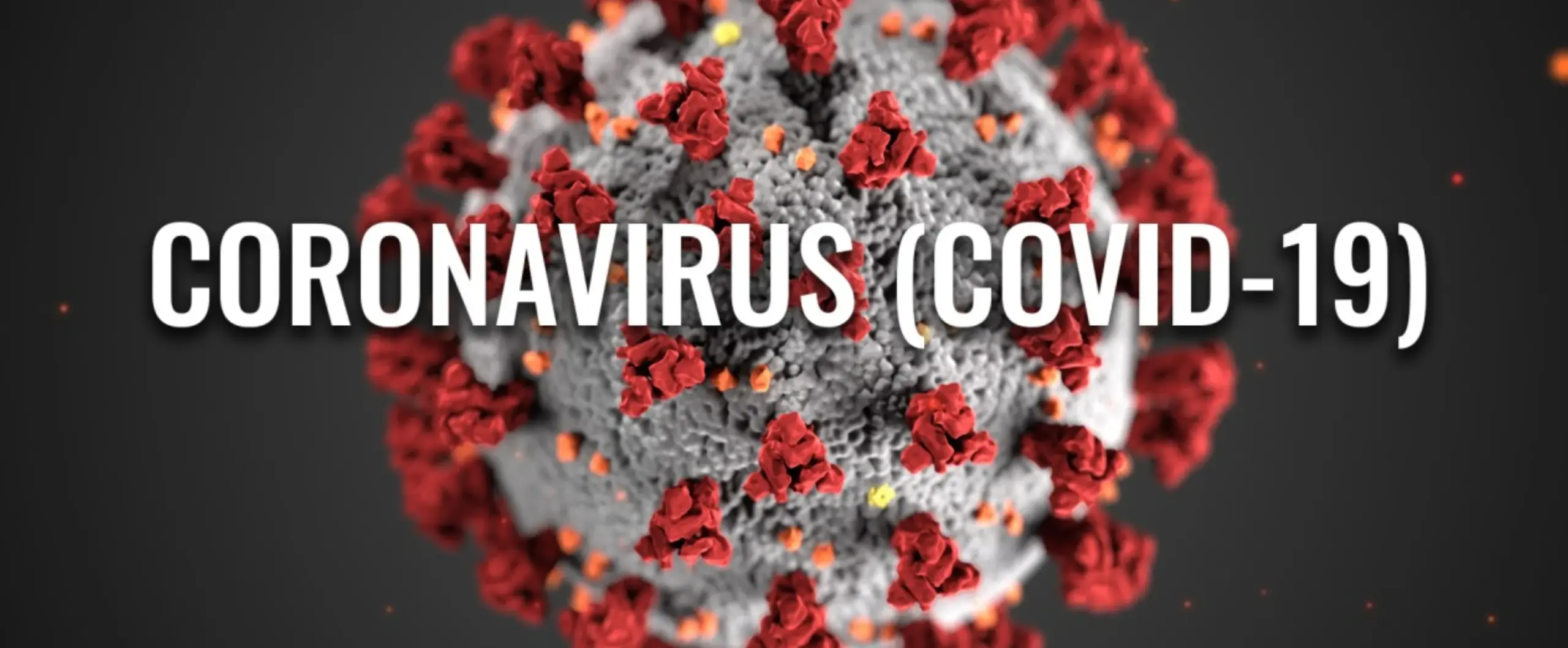What Virus Is Going Around Right Now in Ontario 