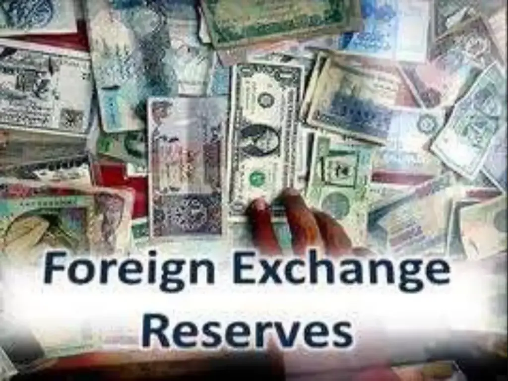 foreign exchange reserves — CA news