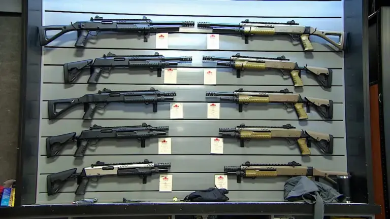 gun buyback program — CA news