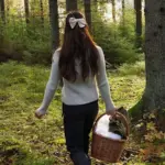 hello kitty compass card — CA news