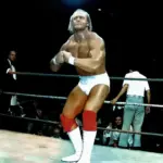 hulk hogan — CA news