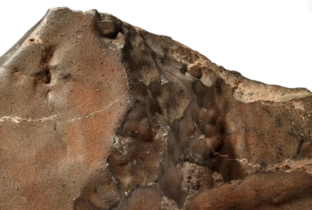 martian meteorite — CA news