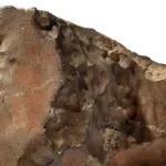 martian meteorite — CA news