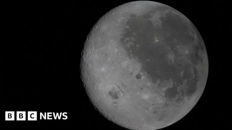 reid wiseman — CA news