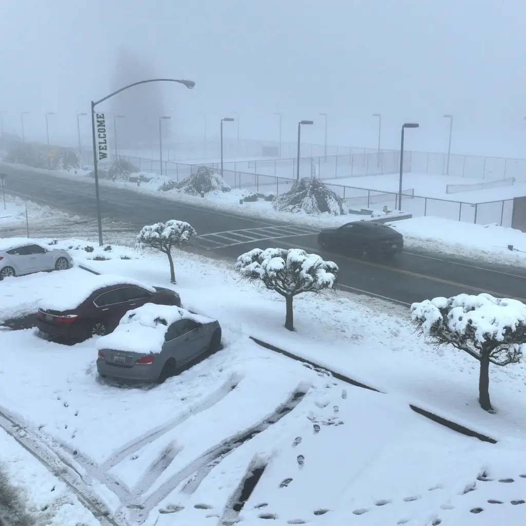 tempête de neige — CA news