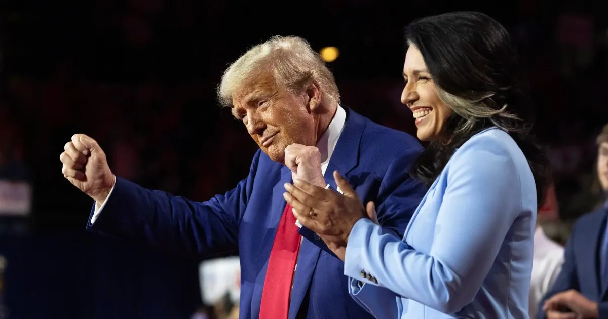 tulsi gabbard — CA news