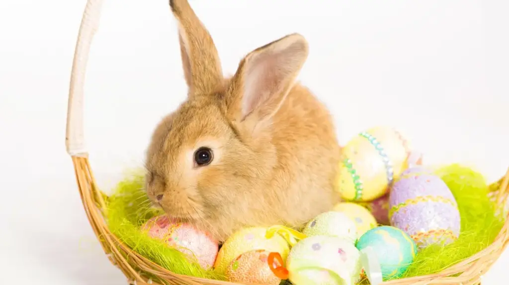 vendredi saint — CA news