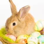 vendredi saint — CA news