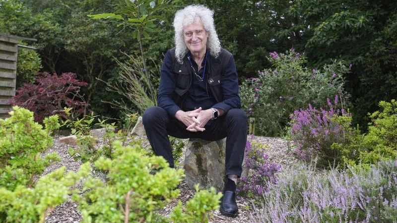 brian may — CA news