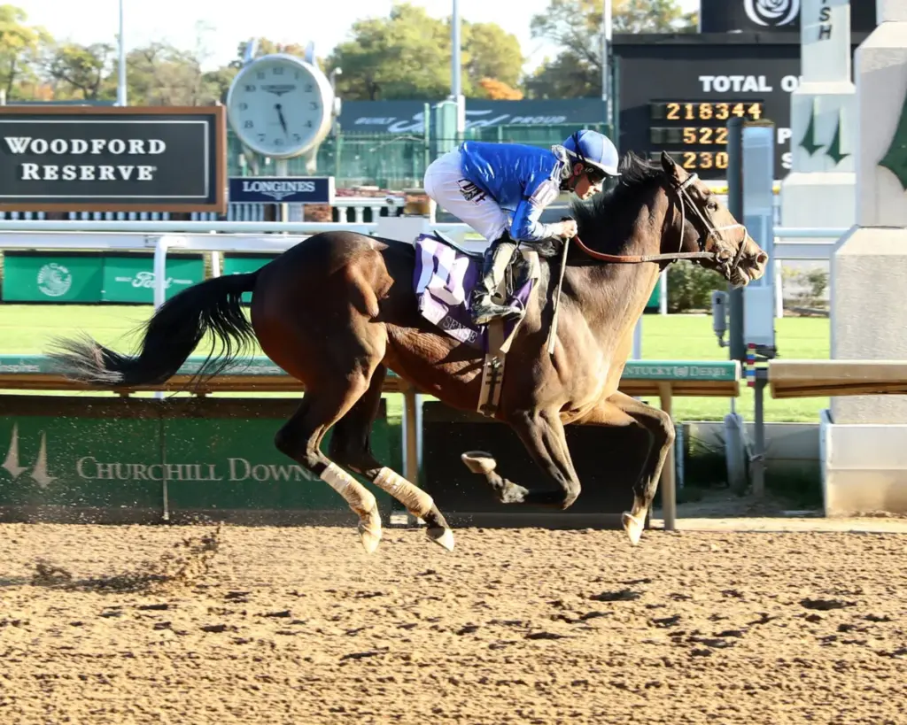 kentucky derby horse race — CA news