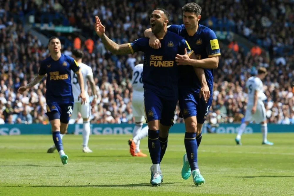 newcastle vs brighton — CA news