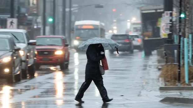 snow storm — CA news