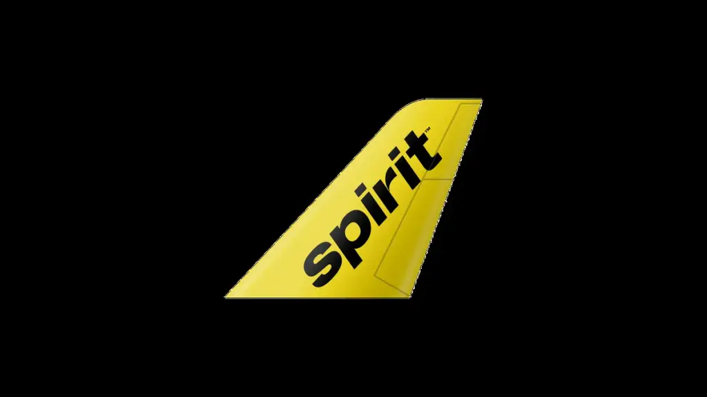 spirit airlines — CA news