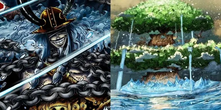 the one piece — CA news