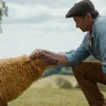 the sheep detectives — CA news