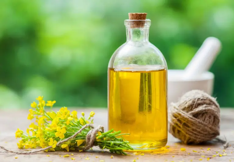 Is Canola Oil Bad for You? Evidence and Cooking Facts  