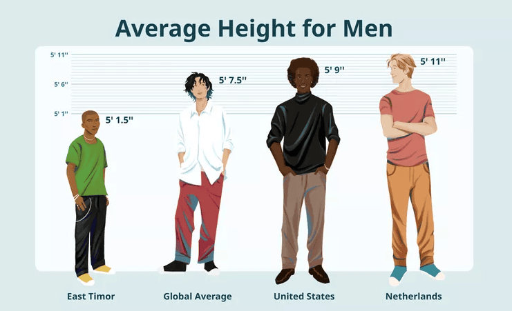 Average height for men Canada: what national data can show   