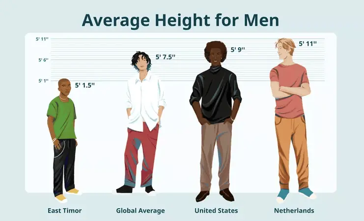 Average height for men Canada: what national data can show   