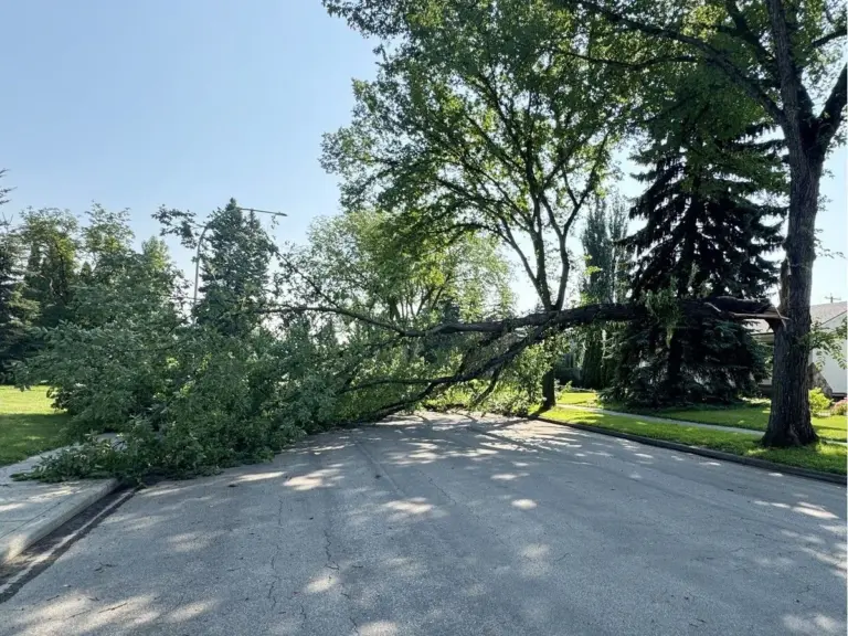 Edmonton experiences widespread flooding, road closures after Saturday thunderstorm image 1