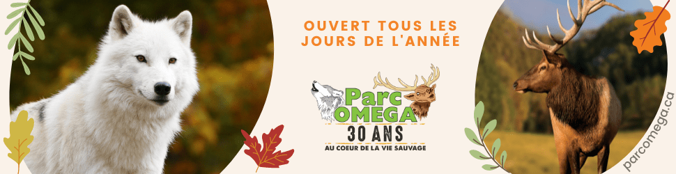 Une nouvelle esp ce au Parc Omega L info de Petite Nation