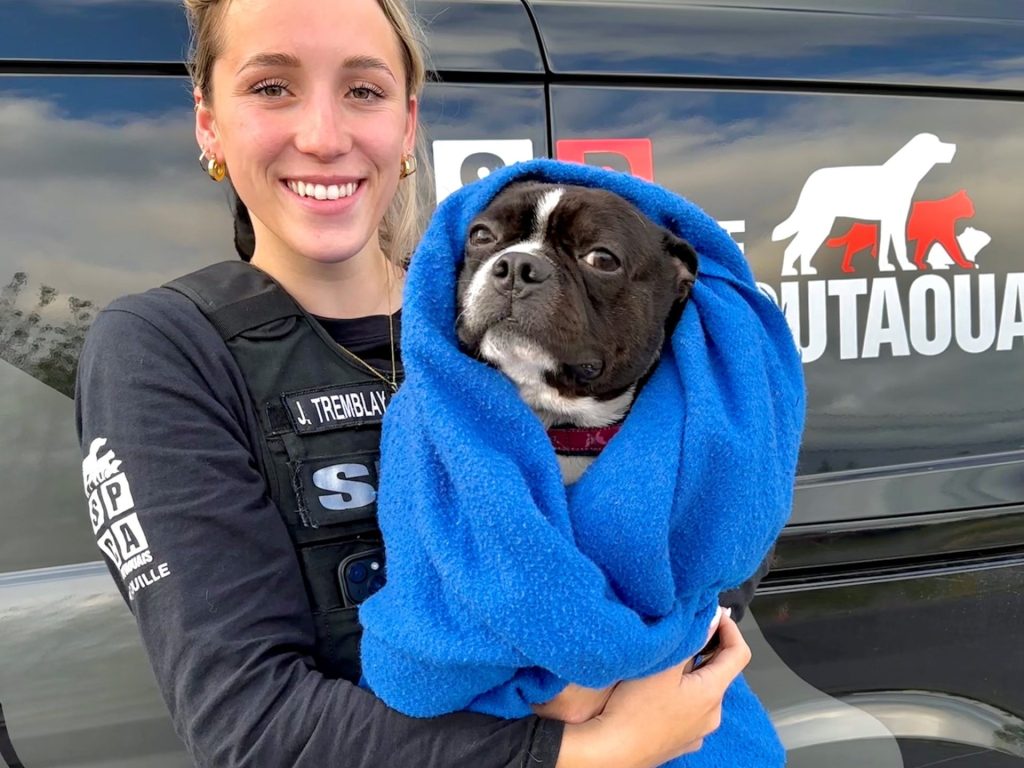 chien sauvé SPCA de l'Outaouais