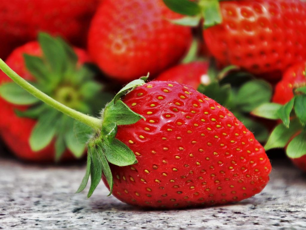 Amateurs de fraises et de framboises sont conviés à Ripon
