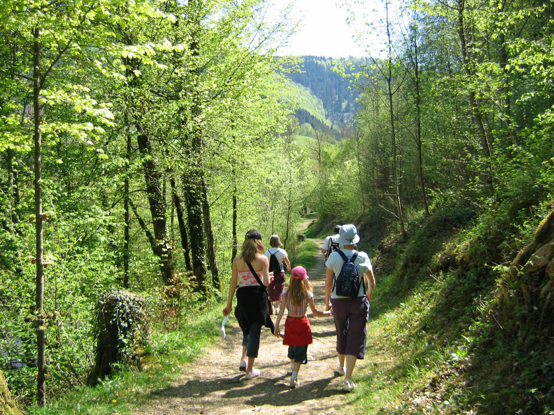 famille faisant une randonnée en forêt